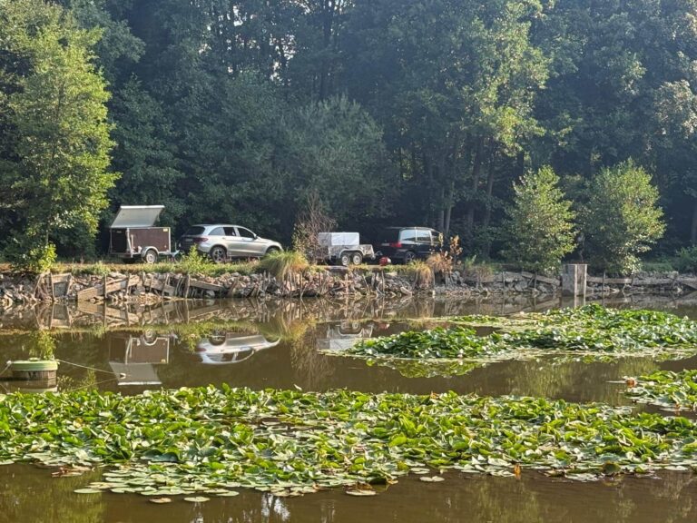 Bericht des Darmstädter Echos