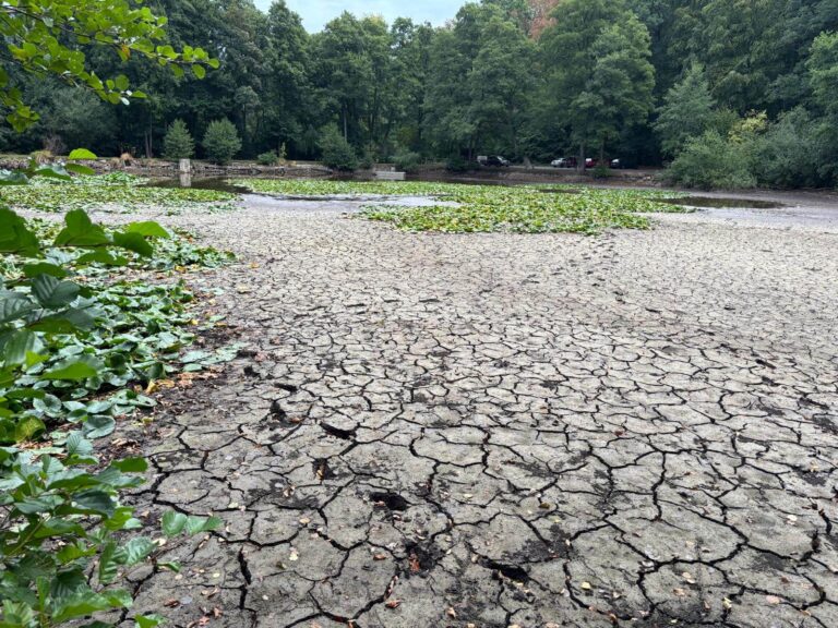 Zukunftssicherung Ludwigsteich: Ausblick auf die Sanierung