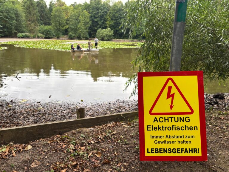 Rettungsaktionen im Niedrigwasser